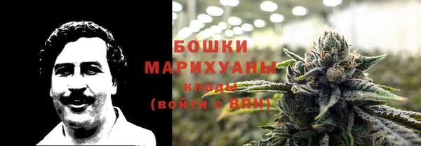 дмт Белокуриха